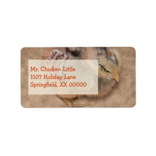 Etiqueta Chick - Pollo bebé esponjoso