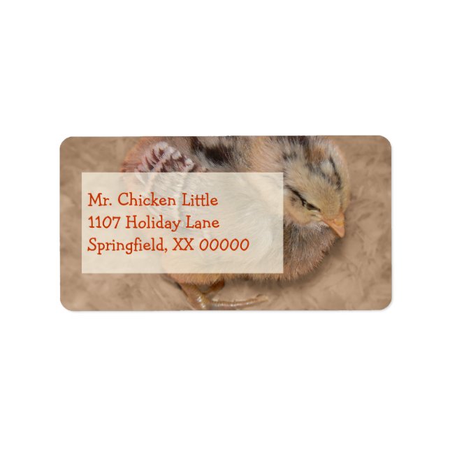 Etiqueta Chick - Pollo para bebé esponjoso (Frente)