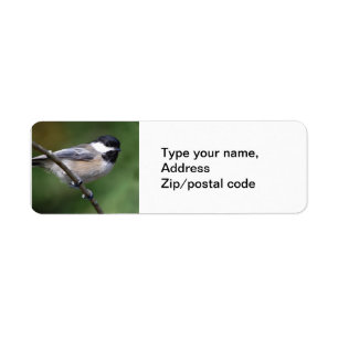 Etiqueta Chickadee en una rama