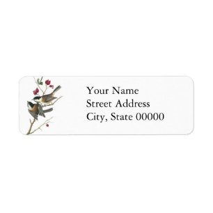 Etiqueta Chickadee Negro-capsulado, Juan Audubon
