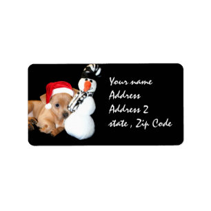 Etiqueta Chihuahua del navidad