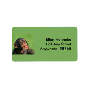 Etiqueta Chimpancé barato