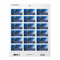 Chingachgook por Newell Convers Wyeth