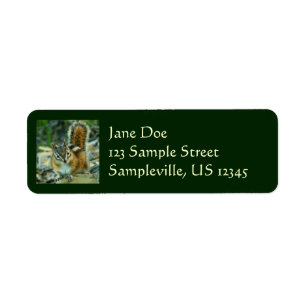 Etiqueta Chipmunk en el Parque Nacional Glaciar