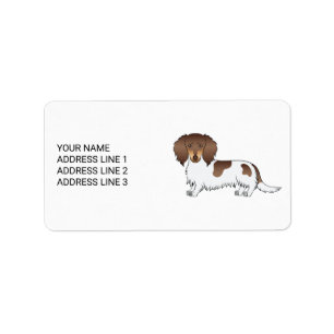 Etiqueta Chocolate y Tan Piebald Dachshund de Pelo Largo y