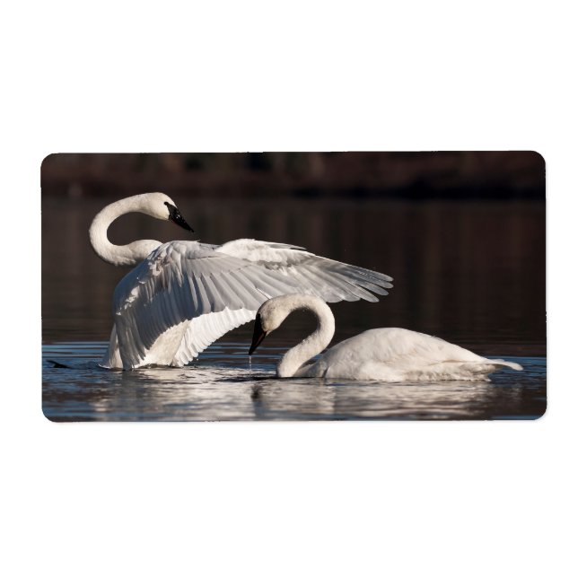 Etiqueta Cisnes amorosos (Frente)