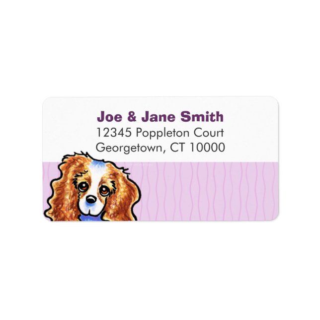 Etiqueta CKCS Blenheim Thistle Stripes (Frente)