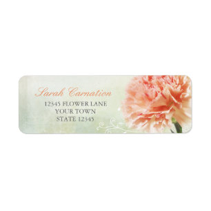Etiqueta Clavel rosado suave