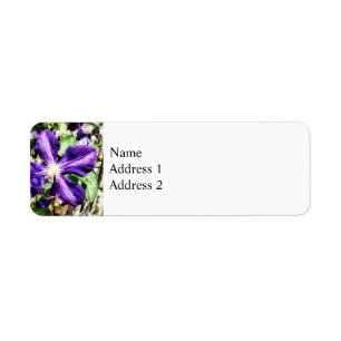 Etiqueta Clematis en un muro de piedra