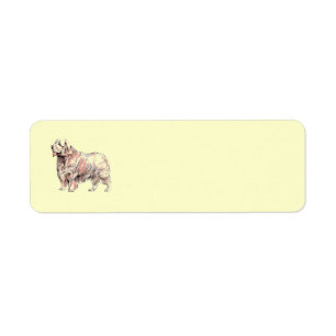 Etiqueta Clumber Spaniel Return Address Label