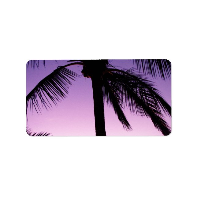 Etiqueta Cocos en el viento (Frente)