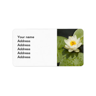 Etiqueta Cojines de lirio y flor de Lotus blanco