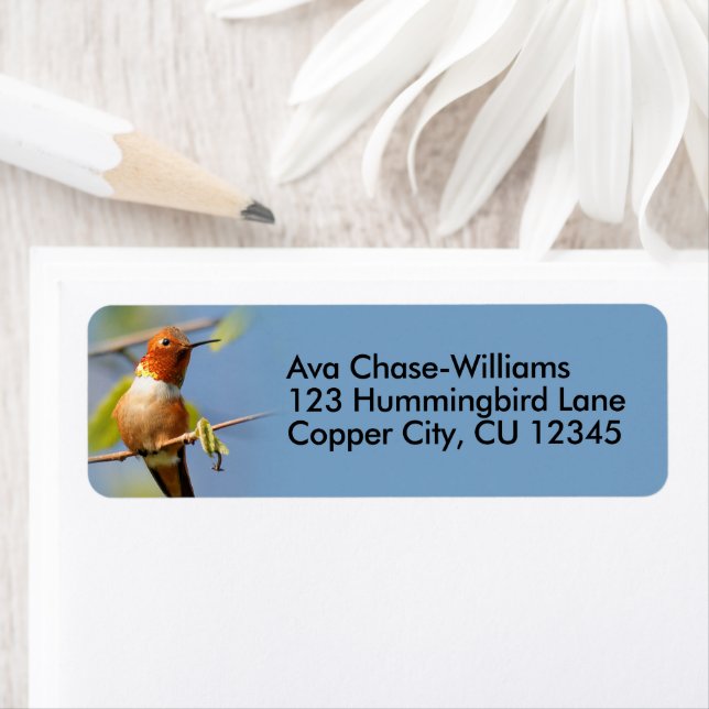 Etiqueta Colibrí curioso sobre una peluca (In situ)