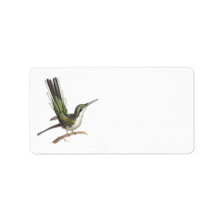 Etiqueta Colibrí verde bonito de Rene Lesson