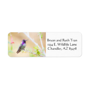 Etiqueta Coliseo costarricense entre el follaje