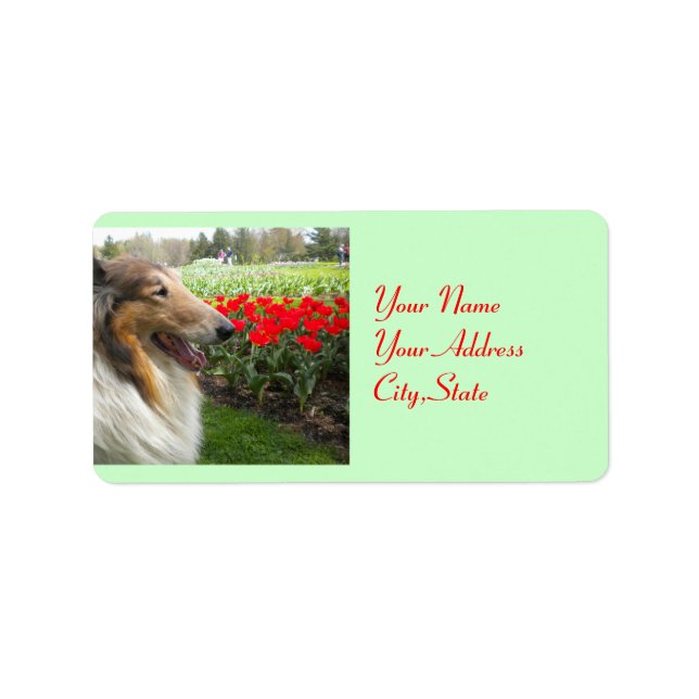 Etiqueta Collie N Tulips Labels (Frente)