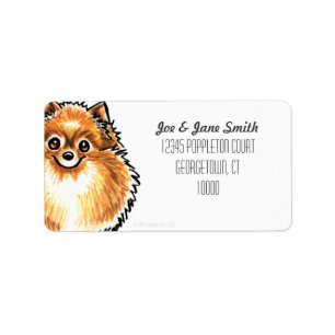 Etiqueta Color anaranjado del personalizado de Pomeranian