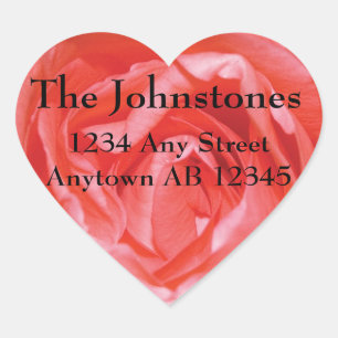 Etiqueta color de rosa perfectamente rosada del