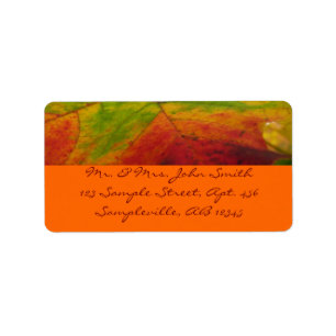 Etiqueta Colores de la Hoja de Arce Fotografía de la Natura