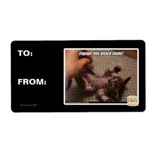 Etiqueta ¡Comprometer el modo de ataque pequeño!