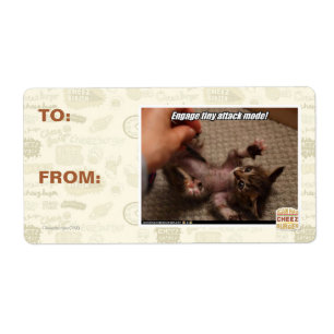 Etiqueta ¡Comprometer el modo de ataque pequeño!