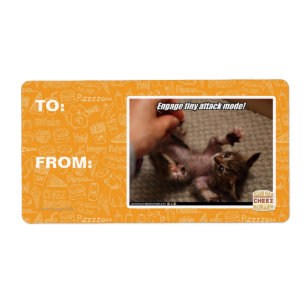 Etiqueta ¡Comprometer el modo de ataque pequeño!