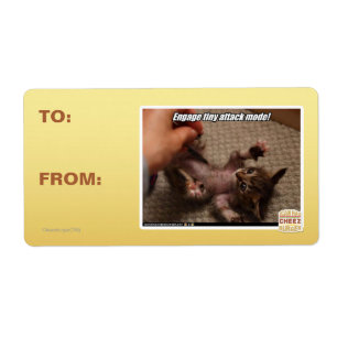 Etiqueta ¡Comprometer el modo de ataque pequeño!