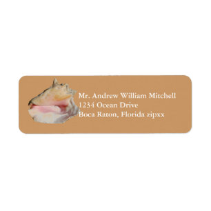 Etiqueta Concha Shell del moreno