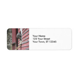 Etiqueta Coop de pollo