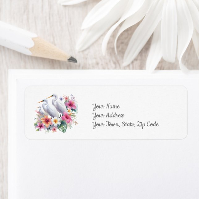 Etiqueta Costa Tropical Egret Bird Island Beach (In situ)