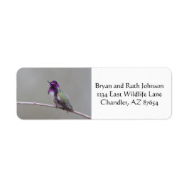 Etiqueta Costura costarricense