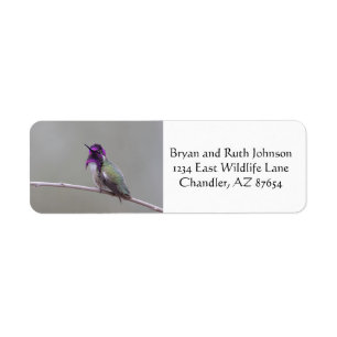 Etiqueta Costura costarricense