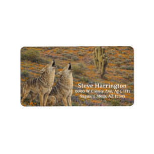 Etiqueta Coyotes Aulladores Amapolas Saguaro Cactus Arizona