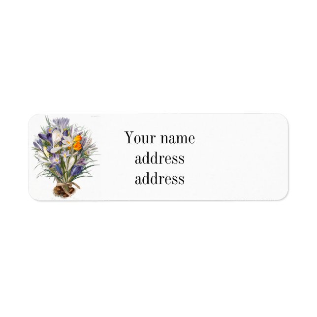 Etiqueta Crocus Spring Flower Botanical Floral Art (Frente)