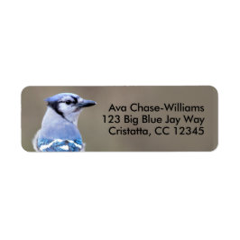 Etiqueta Cuadrillo de Jay azul en Treestump