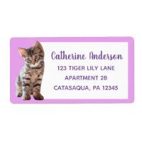 Cuidada Tabby Cat Kitten Lavender Grande