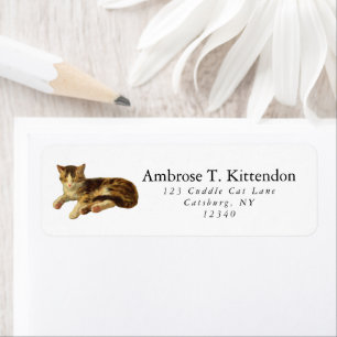 Etiqueta Cuidada ventisca Sleepy Nap Brown and White Tabby