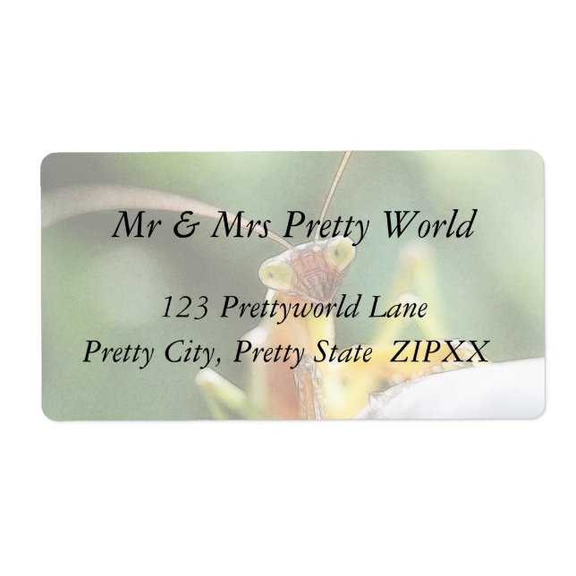 Etiqueta Curioso Oración Mantis (Frente)