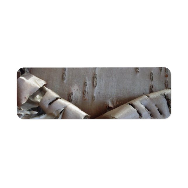 Etiqueta Curly Birch Bark Tree Rustic (Frente)