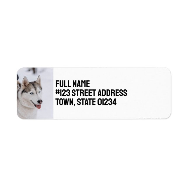Etiqueta Custom Personalized Siberian Husky Dog (Frente)