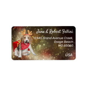 Etiqueta Cute Beagle antlers caja roja personalizado festiv
