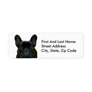 Etiqueta Cute Black French Bulldog Frenchie Fotografía:
