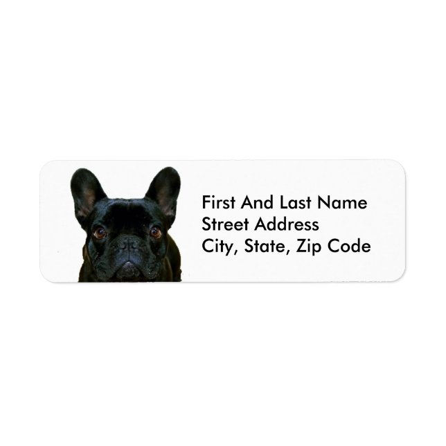 Etiqueta Cute Black French Bulldog Frenchie Fotografía: (Frente)