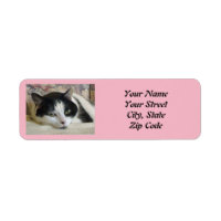 Cute Black White Cat Photo Pink 