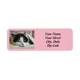 Etiqueta Cute Black White Cat Photo Pink 