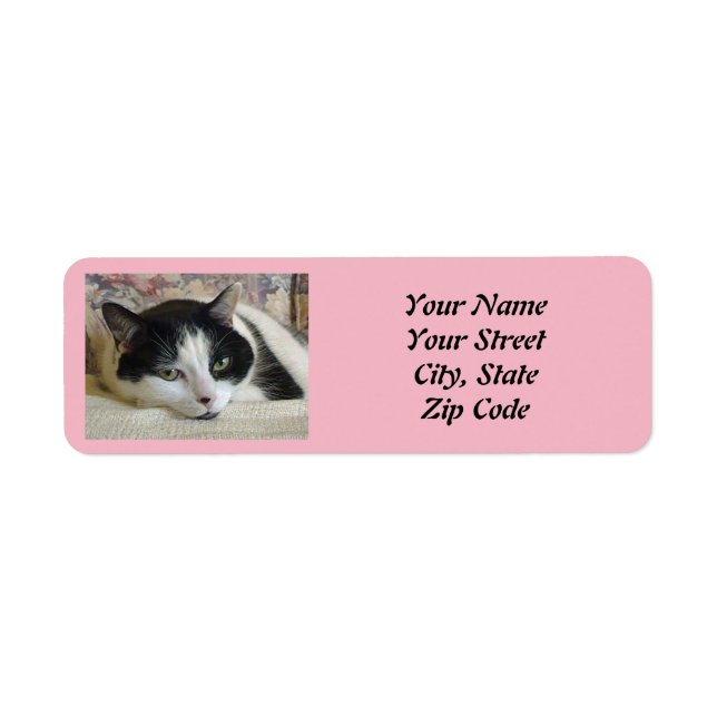 Etiqueta Cute Black White Cat Photo Pink  (Frente)