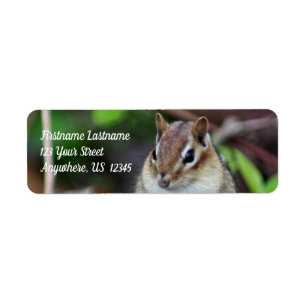 Etiqueta Cute Chipmunk Wildlife Animal Address