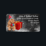 Etiqueta Cute cocker spaniel red giftbox festive custom lab<br><div class="desc">Cute, cocker spaniel with party hat and Christmas decor in front of a red gift box, staring at the snowfall in the light, unique, custom winter theme address label with a tranquil, serene, festive feeling. Get ready for your Season correspondence, personalize the texts easily and differentiate your mails in style....</div>