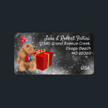 Etiqueta Cute cocker spaniel red giftbox festive custom lab<br><div class="desc">Cute, cocker spaniel with party hat and Christmas decor in front of a red gift box, staring at the snowfall in the light, unique, custom winter theme address label with a tranquil, serene, festive feeling. Get ready for your Season correspondence, personalize the texts easily and differentiate your mails in style....</div>