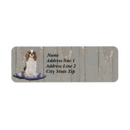 Etiqueta Cute Cocker Spaniel Sentado En El Cushiro Azul